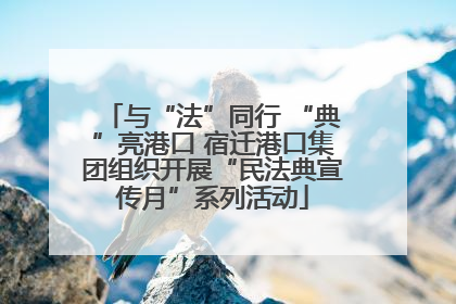 与“法”同行 “典”亮港口 宿迁港口集团组织开展“民法典宣传月”系列活动