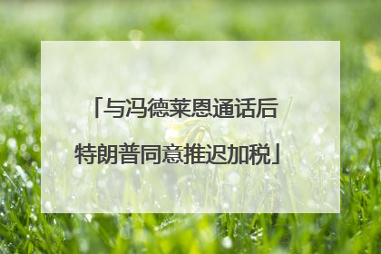 与冯德莱恩通话后 特朗普同意推迟加税