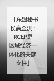 东盟秘书长高金洪：RCEP是区域经济一体化的关键支柱