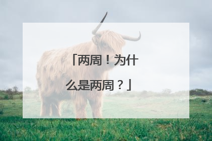 两周！为什么是两周？