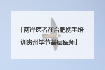 两岸医者在合肥携手培训贵州毕节基层医师
