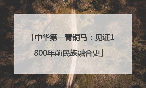 中华第一青铜马：见证1800年前民族融合史