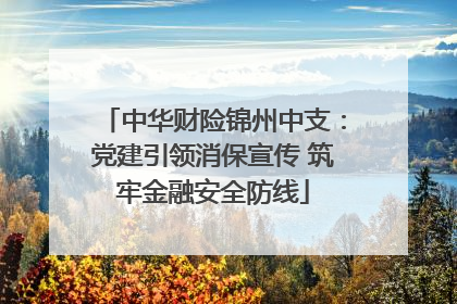 中华财险锦州中支：党建引领消保宣传 筑牢金融安全防线