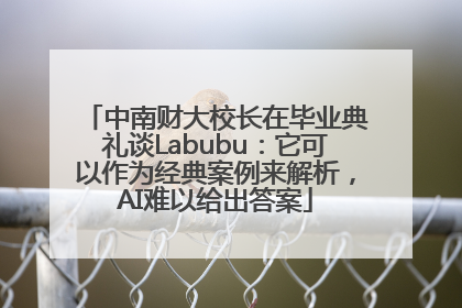 中南财大校长在毕业典礼谈Labubu：它可以作为经典案例来解析，AI难以给出答案
