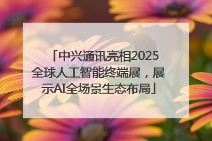 中兴通讯亮相2025全球人工智能终端展，展示AI全场景生态布局