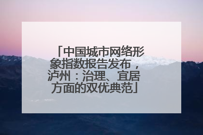 中国城市网络形象指数报告发布，泸州：治理、宜居方面的双优典范