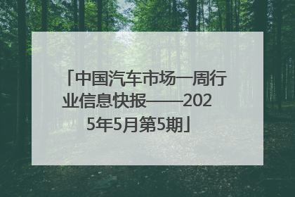 中国汽车市场一周行业信息快报——2025年5月第5期