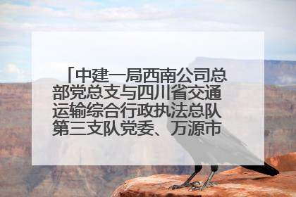 中建一局西南公司总部党总支与四川省交通运输综合行政执法总队第三支队党委、万源市草坝镇莲花院村党支部开展党建联建