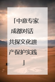 中意专家成都对话 共探文化遗产保护实践