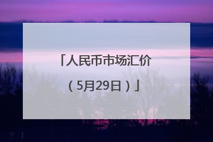 人民币市场汇价（5月29日）