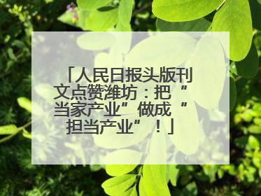 人民日报头版刊文点赞潍坊：把“当家产业”做成“担当产业”！