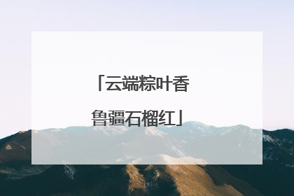 云端粽叶香 鲁疆石榴红