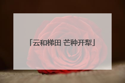云和梯田 芒种开犁