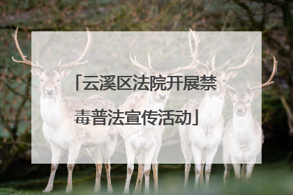 云溪区法院开展禁毒普法宣传活动
