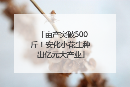 亩产突破500斤！安化小花生种出亿元大产业