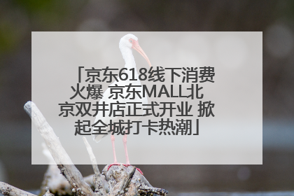 京东618线下消费火爆 京东MALL北京双井店正式开业 掀起全城打卡热潮