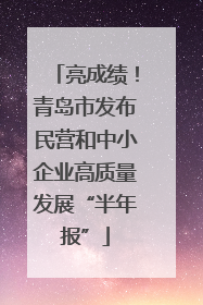 亮成绩！青岛市发布民营和中小企业高质量发展“半年报”