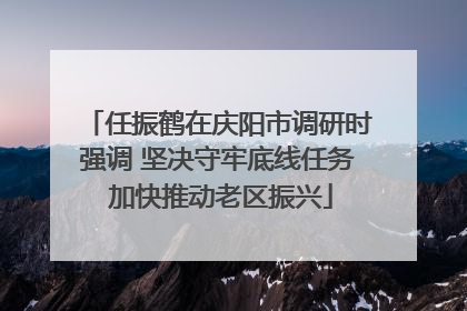 任振鹤在庆阳市调研时强调 坚决守牢底线任务 加快推动老区振兴