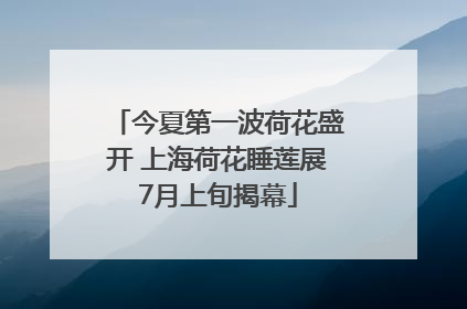 今夏第一波荷花盛开 上海荷花睡莲展7月上旬揭幕