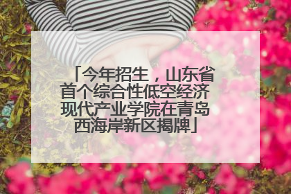 今年招生，山东省首个综合性低空经济现代产业学院在青岛西海岸新区揭牌