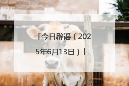 今日辟谣（2025年6月13日）