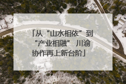 从“山水相依”到“产业相融” 川渝协作再上新台阶