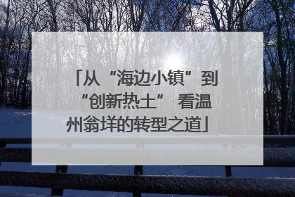 从“海边小镇”到“创新热土” 看温州翁垟的转型之道
