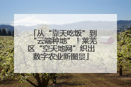 从“靠天吃饭”到“云端种地”！莱芜区“空天地网”织出数字农业新图景