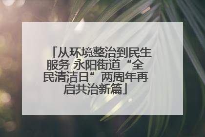 从环境整治到民生服务 永阳街道“全民清洁日”两周年再启共治新篇