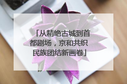 从精绝古城到首都剧场，京和共织民族团结新画卷
