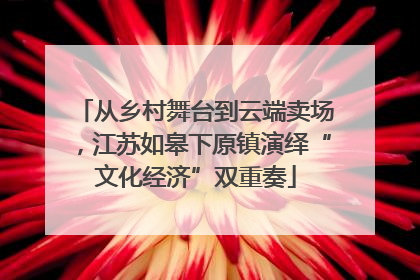 从乡村舞台到云端卖场，江苏如皋下原镇演绎“文化经济”双重奏