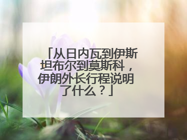 从日内瓦到伊斯坦布尔到莫斯科，伊朗外长行程说明了什么？