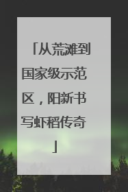从荒滩到国家级示范区，阳新书写虾稻传奇