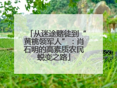 从迷途赌徒到“黄桃领军人”：肖石明的高素质农民蜕变之路