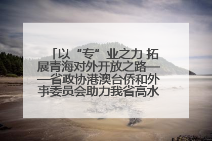 以“专”业之力 拓展青海对外开放之路——省政协港澳台侨和外事委员会助力我省高水平开放和高质量发展