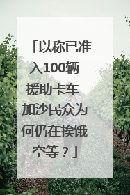 以称已准入100辆援助卡车 加沙民众为何仍在挨饿空等？