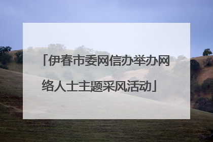 伊春市委网信办举办网络人士主题采风活动