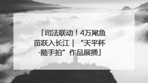 司法联动！4万尾鱼苗跃入长江｜“天平杯·随手拍”作品展播