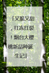 又脆又甜，扛冻扛裂！烟台大樱桃新品种诞生记