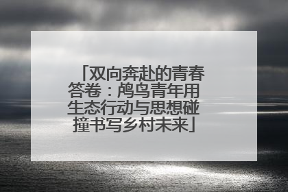 双向奔赴的青春答卷：鸬鸟青年用生态行动与思想碰撞书写乡村未来