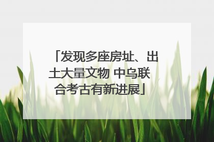 发现多座房址、出土大量文物 中乌联合考古有新进展
