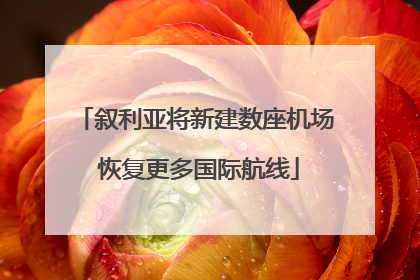 叙利亚将新建数座机场 恢复更多国际航线