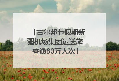 古尔邦节假期新疆机场集团运送旅客逾80万人次