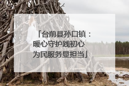 台前县孙口镇：暖心守护践初心 为民服务显担当
