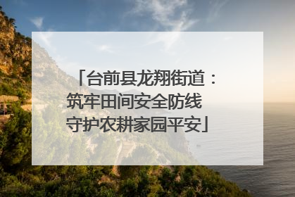 台前县龙翔街道：筑牢田间安全防线 守护农耕家园平安