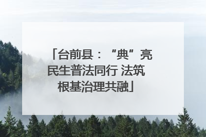 台前县：“典”亮民生普法同行 法筑根基治理共融