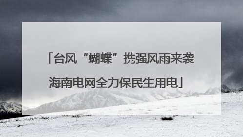 台风“蝴蝶”携强风雨来袭 海南电网全力保民生用电