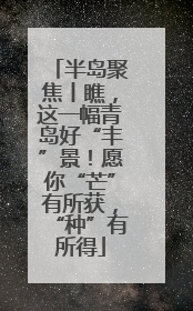 半岛聚焦丨瞧，这一幅青岛好“丰”景！愿你“芒”有所获，“种”有所得