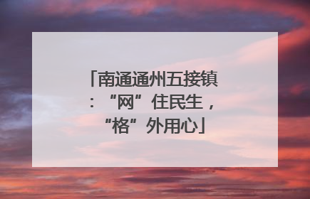 南通通州五接镇：“网”住民生，“格”外用心