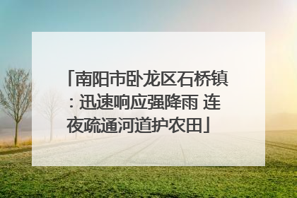 南阳市卧龙区石桥镇：迅速响应强降雨 连夜疏通河道护农田